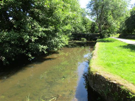 The Curraheen River in the grounds of... © Jonathan Thacker cc-by-sa/2.0 :: Geograph Ireland