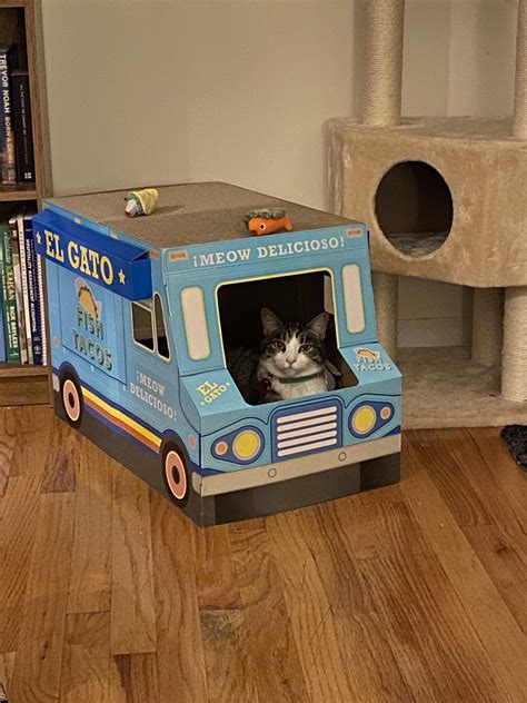 Our taco trucks have allowed us to take our original concept to the street…where we feel most comfortable. My bf and I asked our cat, Scrambles, to start helping out ...