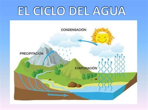 Ciclo Del Agua Dibujo En Ingles Ciclo Del Agua