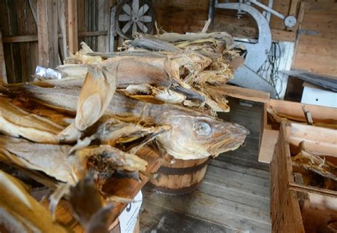 Dried Stockfish Stockfish Cod From Norway Buy Dried Stockfish Dried