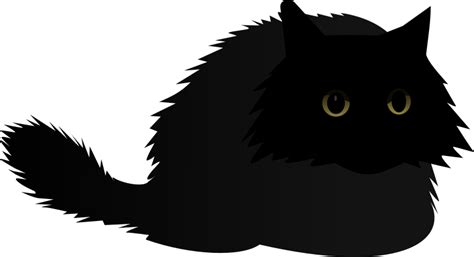 Angry Cat Transparent Png Png Mart