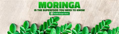 Moringa Is The Superfood You Need To Know What Is Moringa Moringa