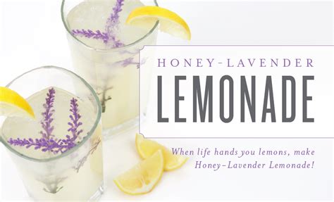 Honey Lavender Lemonade Recipe Young Living Australia