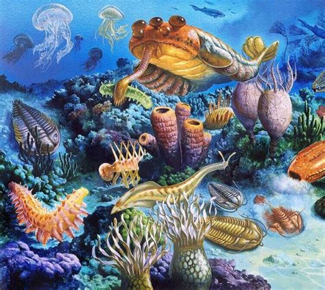 Paleozoic Era Definition Facts Timeline Climate And
