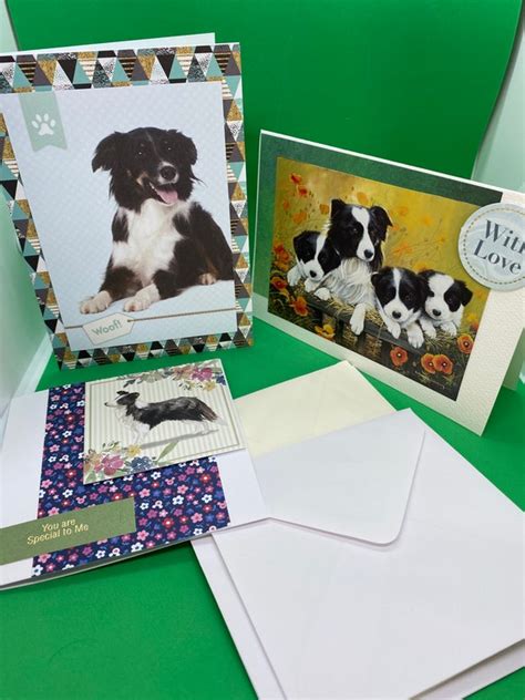 Border Collie Cards Border Collie Fan Birthday Cards Etsy
