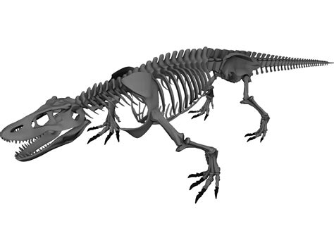 Komodo Dragon Skeleton 3d Model 3dcadbrowser