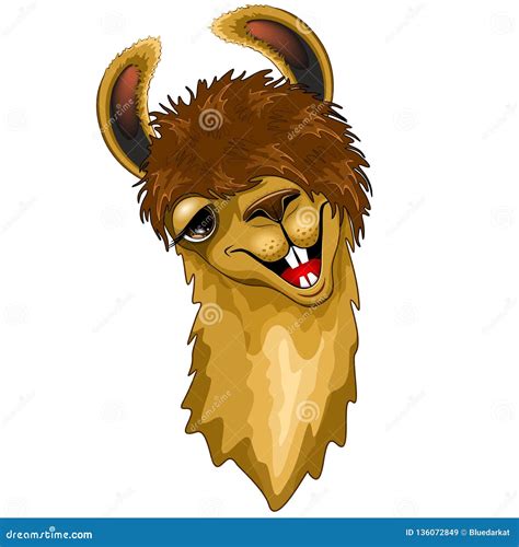 Llama Funny Happy Face Cartoon Isolated On White Vector Illustration