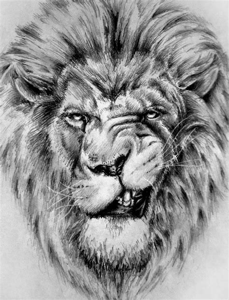 Draw a big oval for the rib cage, and etch in small marks to divide it in half. Lion sketch by ShizZuro on DeviantArt