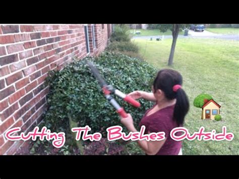 Cutting The Bushes Outside Youtube