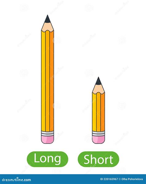 Opposite Adjectives Words With Short And Long Vector Image Vlrengbr