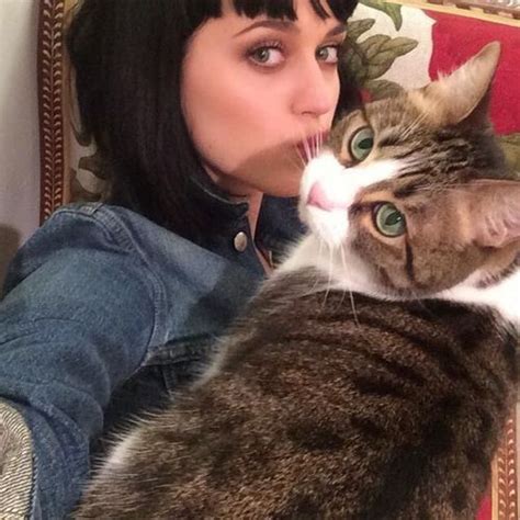 Celebrity Spotlight Katy Perry And Kitty Purry With Images