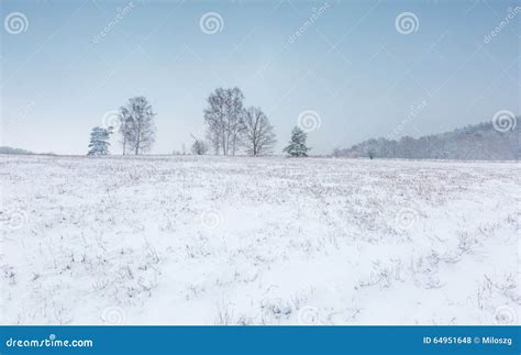 Winter Field Under Cloudy Gray Sky Stock Photo Image Of Colors