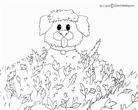 Get this free fall coloring page and many more from primarygames. Fall Pumpkin Coloring Pages To Print - Coloring Home