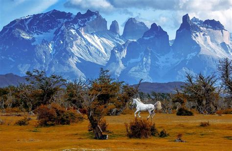 Patagonia Wallpapers See More Ideas About Patagonia Patagonia