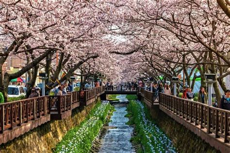 15 Best Places To Visit In South Korea