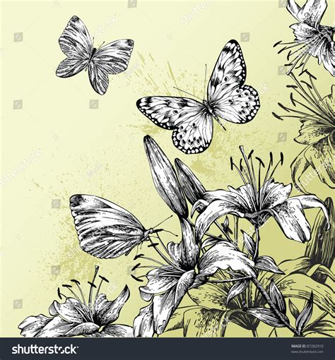 Background Blooming Lilies Beautiful Butterflies Handdrawing Stock