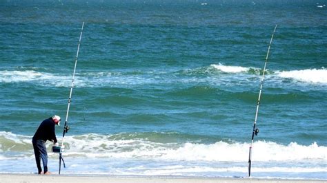10 Best Surf Fishing Rods 2022 Reviews Buying Guide BestRodReels