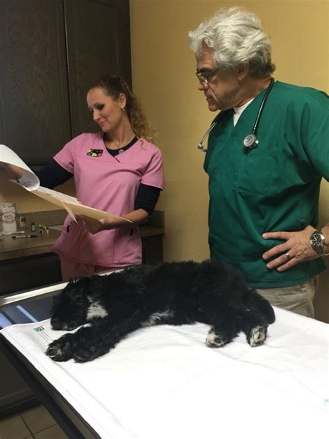 37 reviews of the pet clinic i can t express in words how great of a vet dr. Manatee Veterinary Clinic Photo Gallery | Bradenton, FL