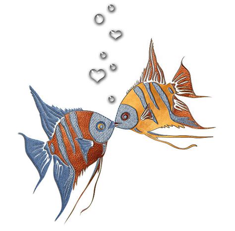Download Best Fish Kissing Illustrations, Royalty-Free Vector Graphics & Clip Art - iStock