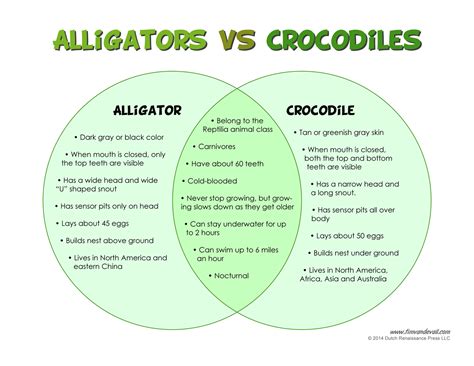 The Difference Between Alligators And Crocodiles