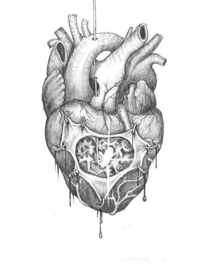 By the way, pay attention that when we speak about the drawn heart, we always imagine such a cartoon heart, and not a realistic heart with all the. Pin on  art  manipulations