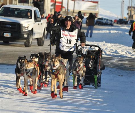 Iditarod Musher Claims Innocence After Dogs Test Positive For Drugs