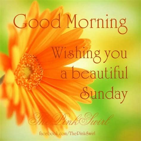 Good Morning Wishing You A Beautiful Sunday Good Morning Wishes