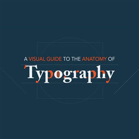 A Visual Guide To The Anatomy Of Typography Infographic With Images