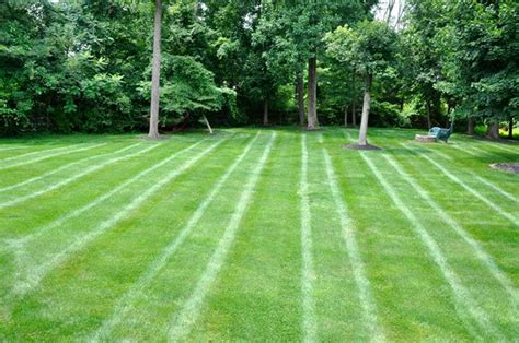 Stripes Are The Key To Perfect Looking Lawns