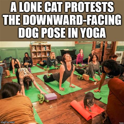 26 Funny Yoga Pose Memes Factory Memes