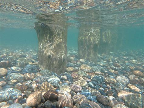 Underwater Wood Pier In Lake Superior Photograph By Roxanne Distad Pixels