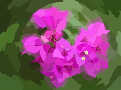 Flower 53 Clip Art At Vector Clip Art Online Royalty Free