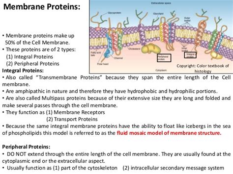 The cell membrane is a physical and chemical barrier which separates the inside of the cell from the outside environment. Histology Made Easy: The cell membrane; Semi permeable ...