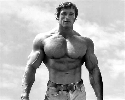 Learn how arnold schwarzenegger trained and the workout and diet he used to prepare to become the greatest bodybuilder ever. biggest body builders: Arnold Schwarzenegger wallpaper hd
