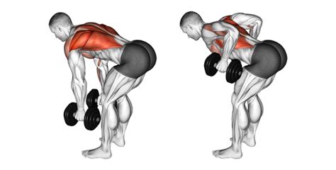 Back Workouts Bent Over Dumbbell Row