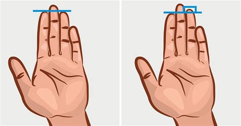 Significance Of Finger Length