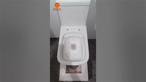 Model Ripon Siphonic Rimless One Piece Toilet One Ball Flushing