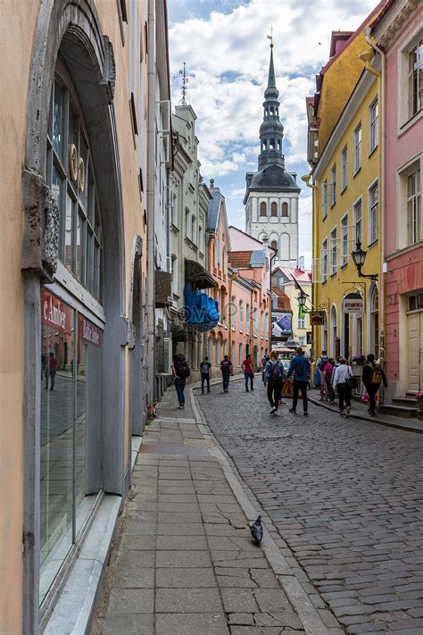 Nordic Estonia Capital Tallinn Old City Tourism Scenery Picture And Hd
