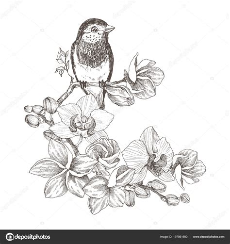 Bird Hand Drawn In Vintage Style With Tropical Flowers Spring Bird