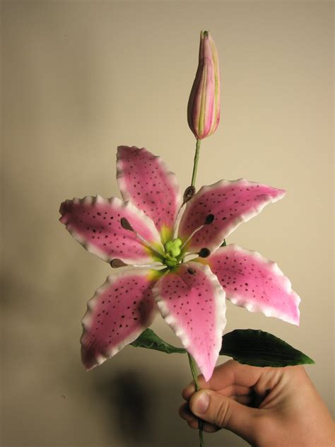 Check spelling or type a new query. The Cake Engineer: Gum Paste Flowers Galore!