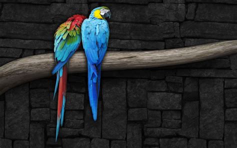 Parrot Os Hd Wallpapers Top Free Parrot Os Hd Backgrounds