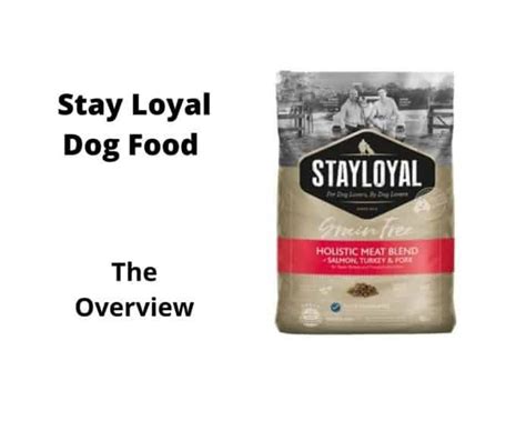Like us, dog owners, the lifestyle of our pets as they grow older, will change. Stay Loyal Dog Food Review (2021 Edition ...