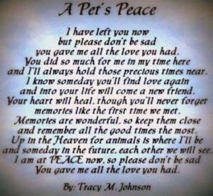A collection of my favourite pet quotes, all about the loss of a pet, pet death and pet grief. Pet Loss Poems And Quotes. QuotesGram
