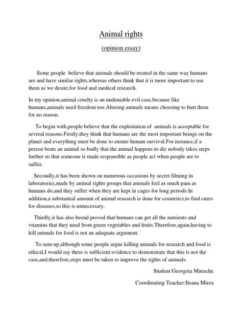 Animal Rights argumentative essay