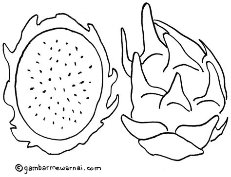 Kumpulan Gambar Buah Untuk Mewarnai Anak Tk