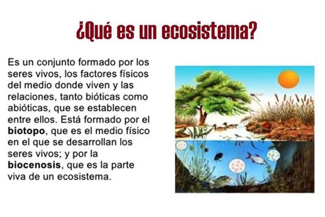 Webquest ClasificaciÒn De Los Ecosistemas Recursos