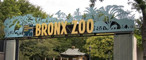 The Zoo TV Show | POPSUGAR Pets