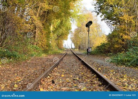 Railroad Tracks With Trees On Both Sides In Autumn Stock Image Image