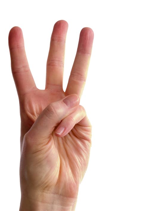 Hand Gesture Fingers Illustration Transparent Png Svg - vrogue.co