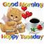 Good Morning Happy Tuesday Pictures Photos And Images For Facebook 